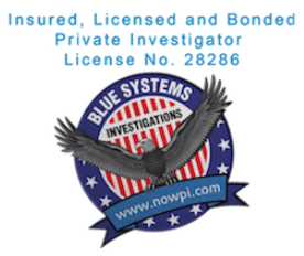 Blue Systems International 

https://www.nowpi.com/ - Los Angeles Trusted Private Investigator Law Firm