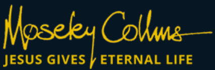 Moseley Collins Law 

https://www.moseleycollins.com/ - Washington Experience Personal Injury Attorney