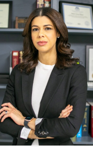 Maria Mateo PC https://mariamateolaw.com/ - New York Full-Service Law Firm
